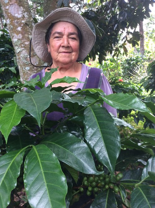 Adiela Argote Washed