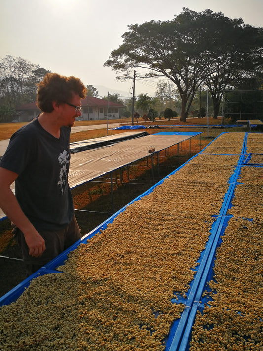 Doi Phu Khaa Red Honey