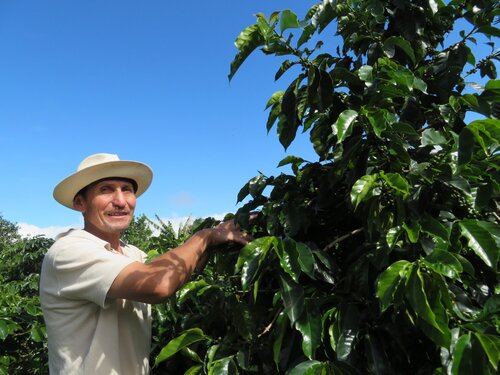 Jésus Cerón Natural