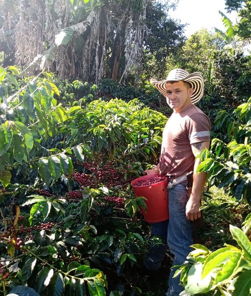 Mauricio Bolaños Natural
